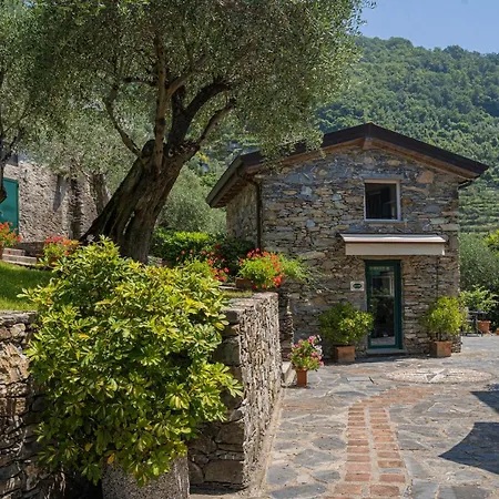 Paggi Bed & Breakfast Carasco
