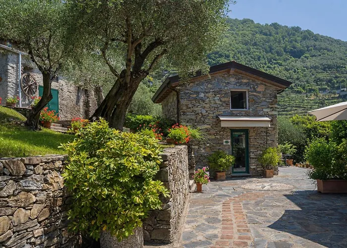 Paggi Bed & Breakfast Carasco