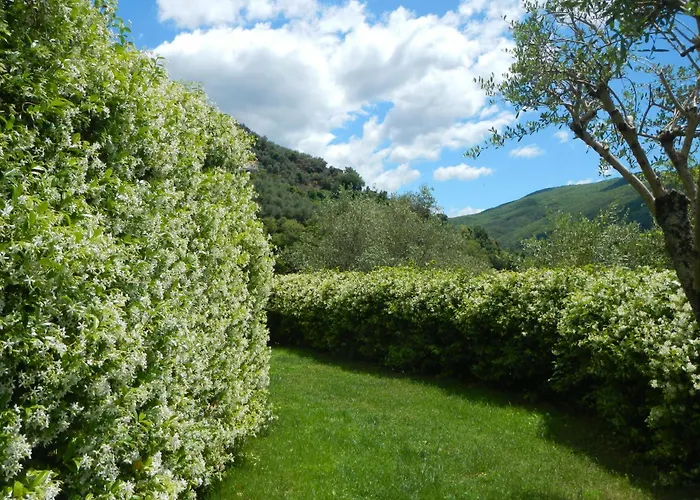 Paggi Bed & Breakfast 4*